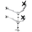 StarTech Vesa 75X75/100X100MM Desk Mount Quad - ARMQUADPS