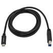 StarTech Connect USB B Devices TO A USB Type C OR - USB315CB2M