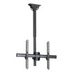 StarTech Full Motion Single TV Ceiling Mount FOR - FPCEILPTBSP