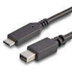 StarTech Usb-c TO Mini Displayport Cable AND - CDP2MDPMM6B