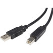 StarTech This 1FT USB Cable Features ONE USB A Male - USB2HAB1