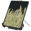 StarTech Secure Tablet Stand/mount - 7.9-13 Inch - SECTBLTDT