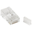 StarTech Solid Wire CAT 6 Modular Plug - 50 Pack - CRJ45C6SOL50