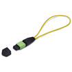 StarTech Mpo/mtp Female Single Mode - LOOPBACKMTP12OS2SMF