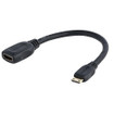 Startech Mini HDMI To HDMI Adapter; 4K 30HZ/Full HD - HDACFM5IN