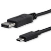 StarTech USB C TO Displayport 1.2 Cable W/4K - CDP2DPMM6B