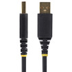 StarTech 10FT (3M) USB TO Serial Adapter - 1P10FFC-USB-SERIAL