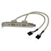 StarTech 2 Port USB A Slot Plate Adapter - USBPLATE