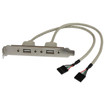 StarTech 2 Port USB A Slot Plate Adapter - USBPLATE