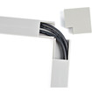 StarTech Solid Wiring Cable Raceway Duct Lateral - CBMWD3816L