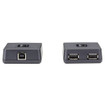 Black Box Extend TWO USB 1.1 Peripherals Beyond THE - IC282A