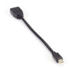 Black Box Video Adapter Dongle - Mini - VA-MDP12-DP12