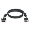 Black Box Dvi-a TO VGA HD15 Cable - Male/male - EVNDVI01-0010