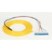 Black Box OS2 9-MICRON Single-mode Fiber - FOPT50S1-LC-12YL-3