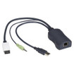 Black Box Series Server Access Module - Displayport - KV1408A