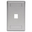Hubbell Face Plate Rear-Loading 1 Port Single Gang Gray - IFP11GY