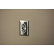 Hubbell Duplex Plate 1 Gang Standard Size Satin Stainless - SS8
