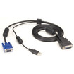 Black Box This Secure KVM CPU Cable CAN BE - EHNSECURE2-0006
