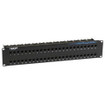 Black Box CAT5E Feed-through Patch Panel - 2U - JPM810A-R2