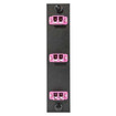 Hubbell FSPNLCDS3VI 6P 3LC Duplex Panel