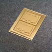 Hubbell Rectangular Carpet Flange 2 Gang Brass - SB3084