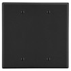 Hubbell Wallplate 2-Gang 2 Box Mount Blank Black - P23BK