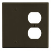 Hubbell P138 Blank Wallplate - 2-Gang