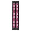 Hubbell FSPNMTPDVI6 12P MTP Duplex Panel