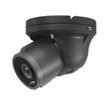 Speco Technologies HTINT601TA 2MP HD-TVI Vandal Turret - image 1
