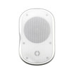 Speco Technologies SPCE6OTW 6.5" Outdoor Speaker Pair with Transformer - image 1