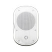 Speco Technologies SPCE6OTW 6.5" Outdoor Speaker Pair with Transformer (view 3)