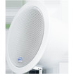 Speco SPIPC6A 15W IP Ceiling Speaker PoE+