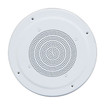 Speco Technologies SPIPG86T 8" IP speaker grill assembly detail view