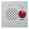 Aiphone IE-SSR 2-Gang Flush Mount Door Station