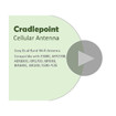 Cradlepoint Inc 170836-000 Dual-Band WiFi Antenna Charcoal