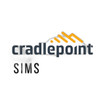 Cradlepoint 170902-000 US Cellular SIM Card