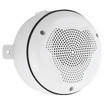 System Sensor SPCWK Wall-Mount Speaker White