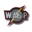 Wasp 633808551049 Wasptime RFID Badges Seq 251-300