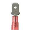 Panduit FRZTP77Y001M025 OM4 12-Fiber PanMPO Trunk Cable