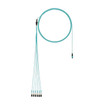 Panduit OM3 12-F Indoorsmdiamtrunk Plrtyb Optil 22FT PK1 - FYXTP77Y006F022