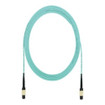 Panduit FRZTP77Y001F046 46 ft Fiber Trunk