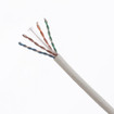 Panduit Copper QN Trunk CAT6A U/ftp 22FT EA - QERBCCL0001F022