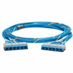 Panduit Copper QN Trunk CAT6 UTP 33 FT - QCRWJJB0001F033