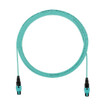 Panduit FRZ8PJJY011F030 OM4 8-Fiber PanMPO Trunk - 30ft