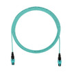 Panduit FRZ8PJJY011F030 OM4 8-Fiber PanMPO Trunk - 30ft