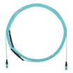Panduit OM412-FI Indtrnk Fepob A 100FT PK1 - FYZTP77Y005F100