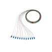 Panduit NKFP91BN1NKM002 12-Fiber OS2 LC Pigtail Set 2m