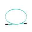 Panduit FZ2ERQ1SNSNM032 OM4 LC/SC 32m Fiber Assembly