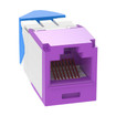 Panduit CJLR6X88TGVL Cat 6A Angled TG Jack Violet