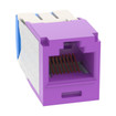 Panduit CJ6X88TGVL Jack Module